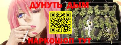 шишки Магадан