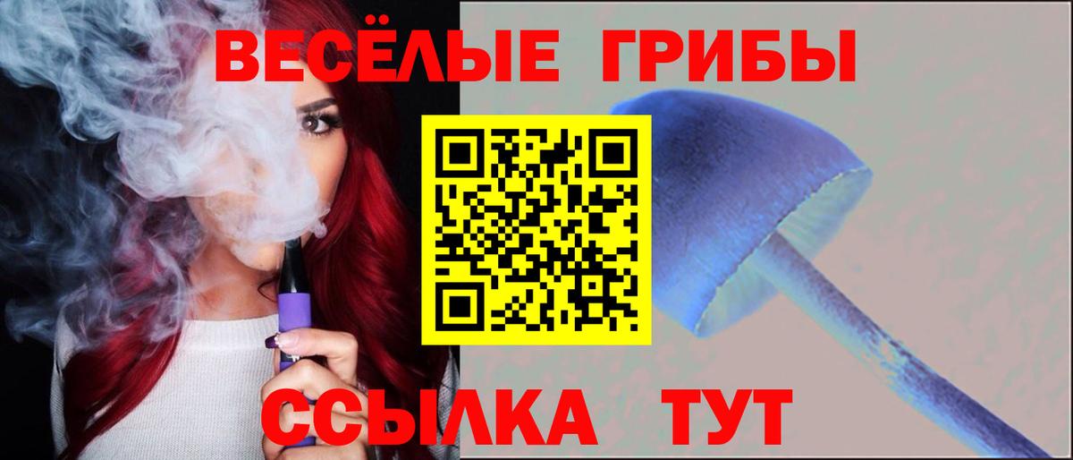 Калач-на-Дону  Галлюциногенные грибы прущие грибы  Вход с VPN 